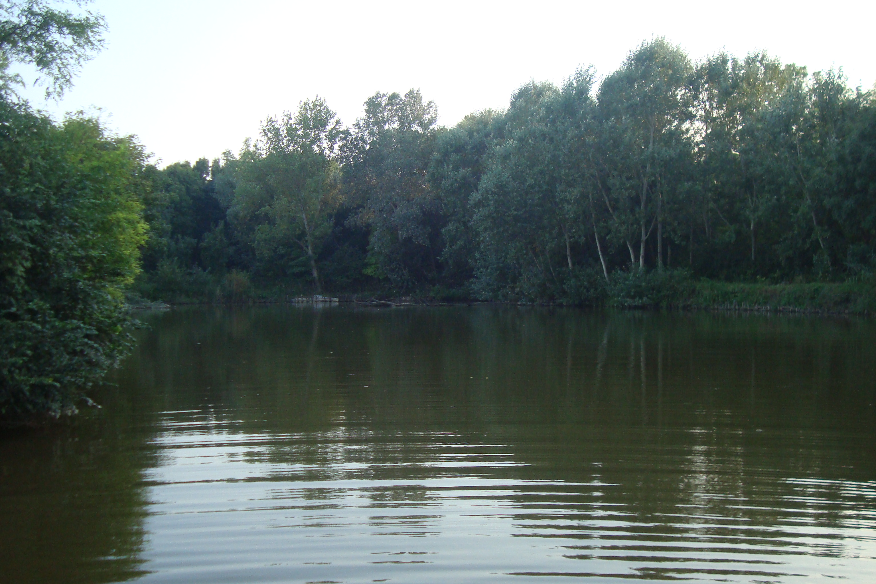 DSC01869.JPG