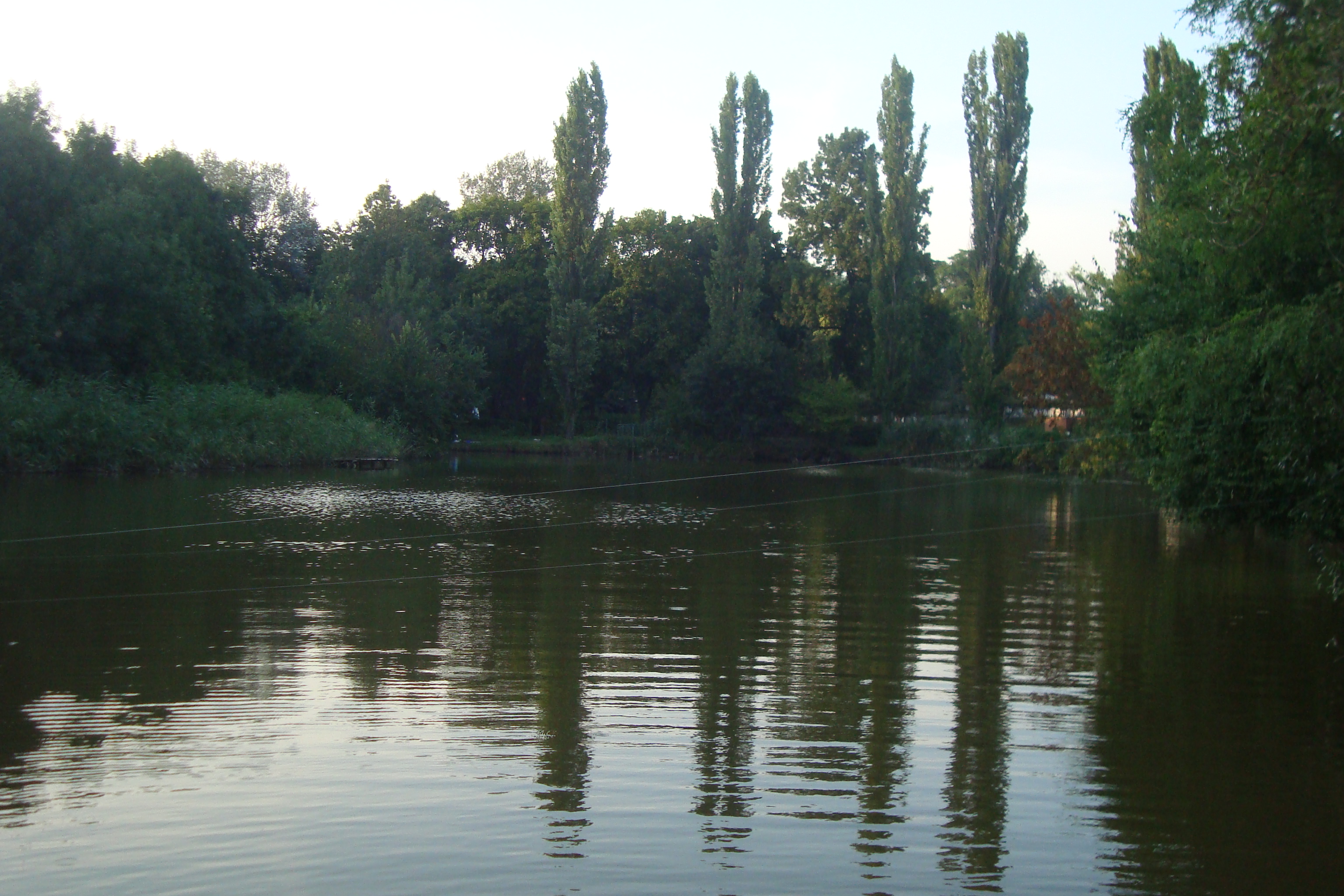 DSC01870.JPG