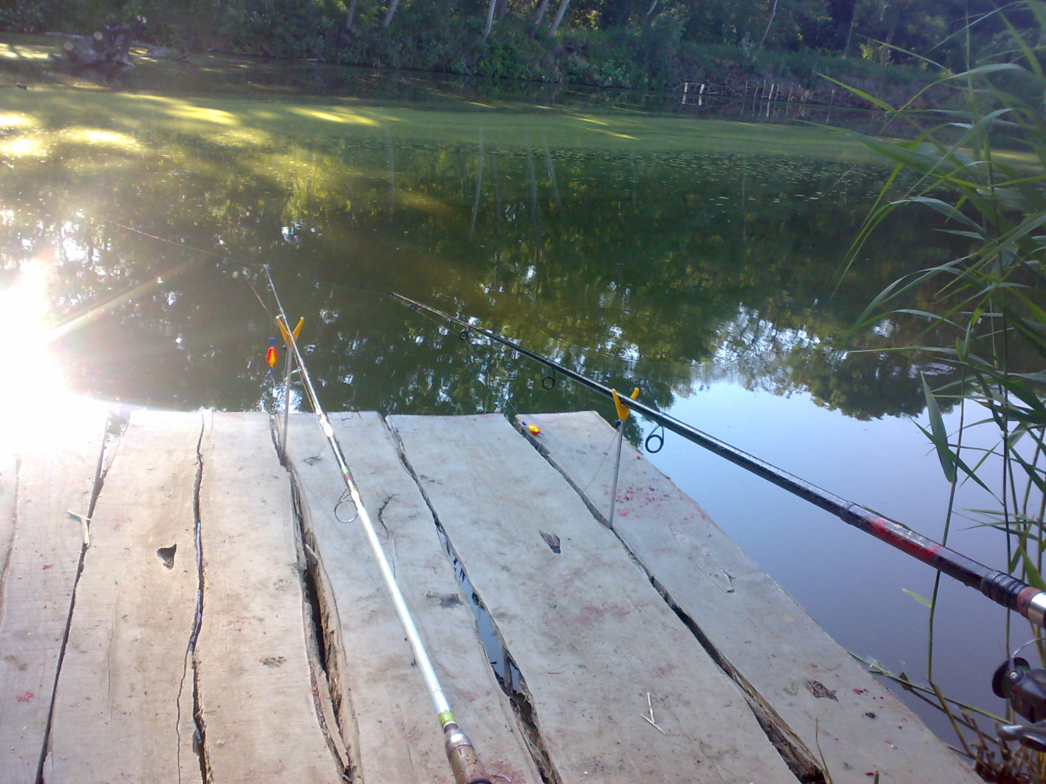 24052009613.jpg