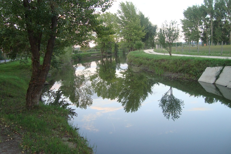 DSC02729.JPG